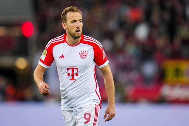 新引进的球 新引进的球