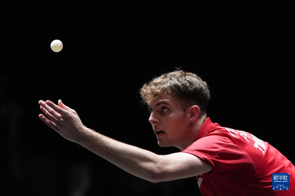 和德国杯冠 和德国杯冠