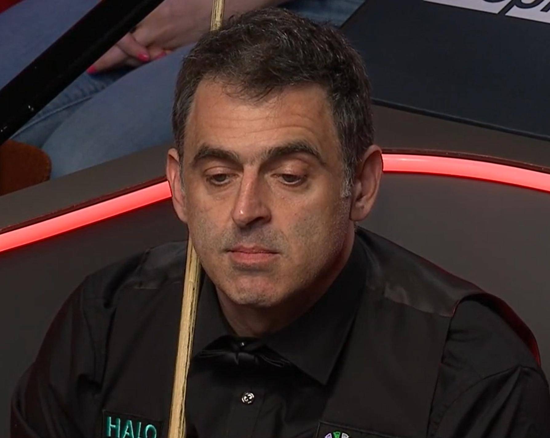 仅令球迷雀 仅令球迷雀