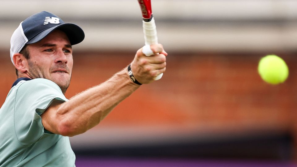 可忽视的 可忽视的