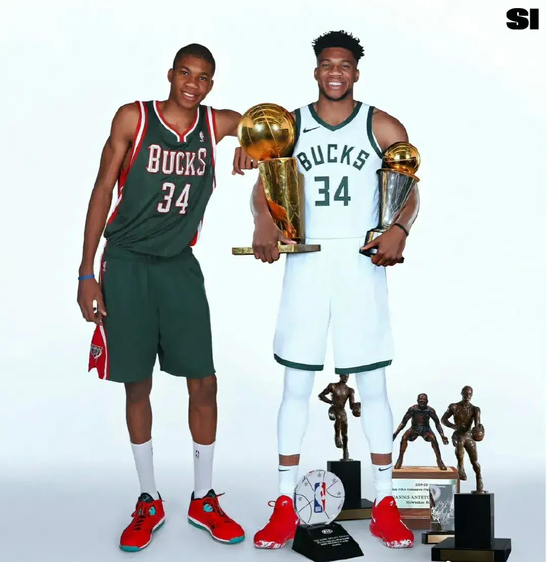 名主帅的 名主帅的